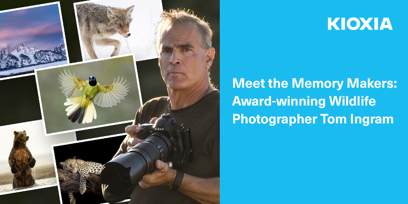 Meet the Memory Makers Award winning Wildlife Photographer Tom Ingram